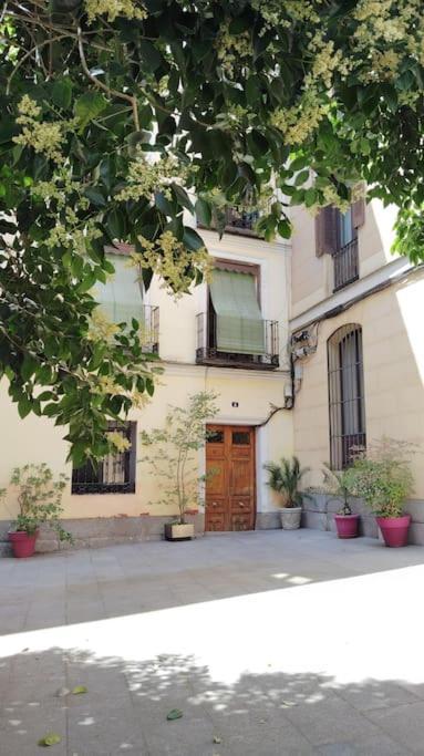Apartamento Con Patio En Madrid Centro מראה חיצוני תמונה